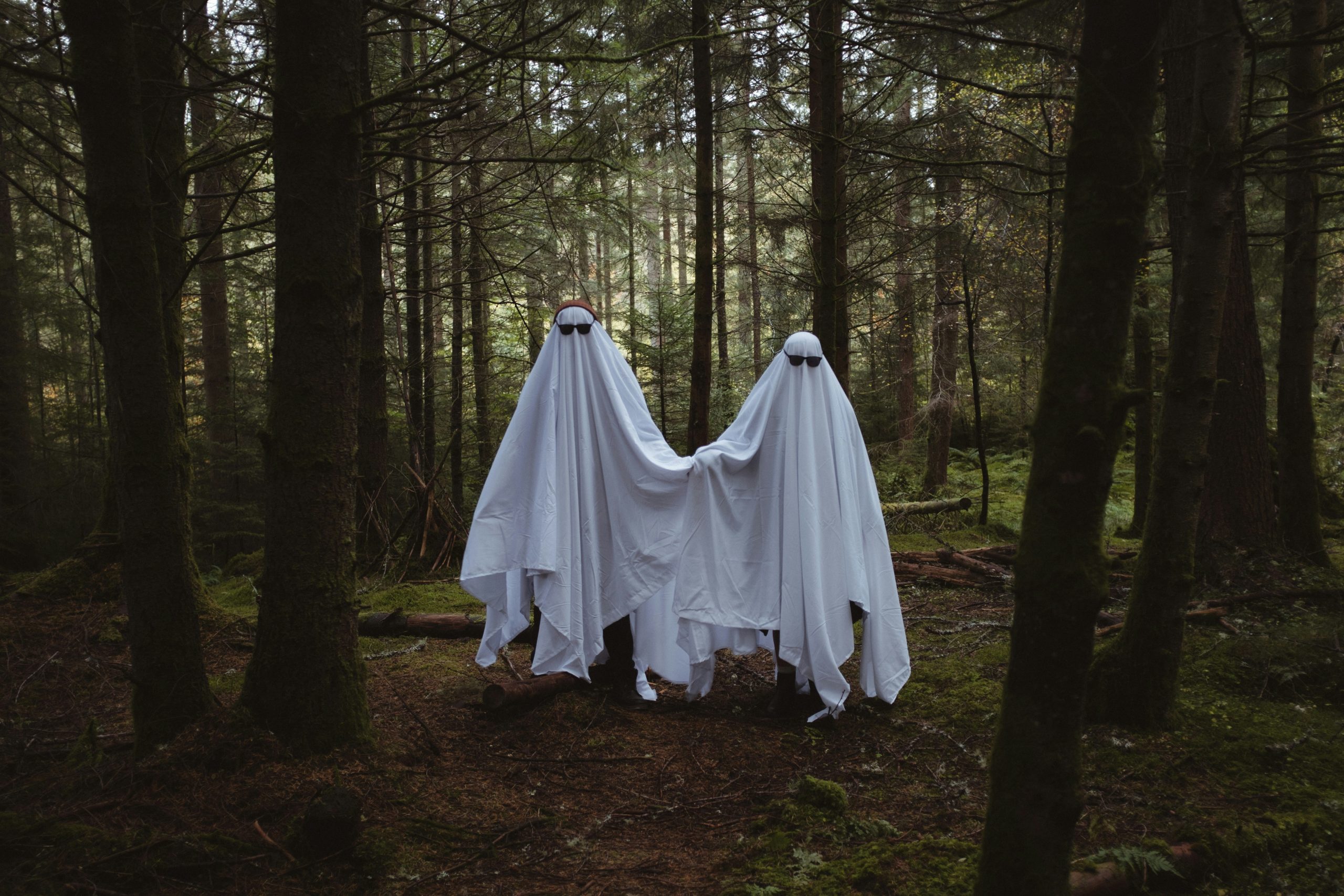 Ghostwriting finden