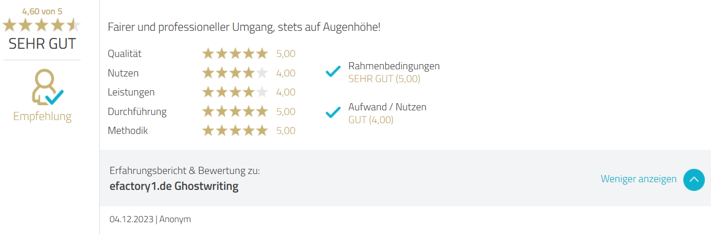 Efactory1 Positve Erfahrungen - 2